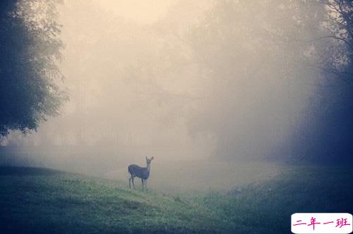 2018最唯美伤感的句子精选 悲欢离合其实都是人生常态3