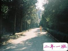 孤独的伤感说说心情语录大全 当这个世界越来越坏我只希望你能越来越好