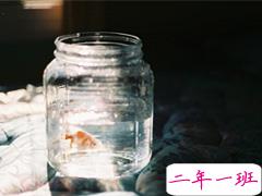 深夜伤心句子说说心情短语 伤心说说短句子精选