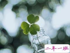 得不到喜欢的人回应说说：就当风没吹过，你没来过，我没爱过