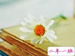 一个人的说说伤感的句子精选:愿你不似我,孤独有人说