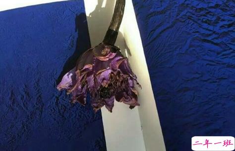 很短的伤感说说一句话精选：日不敢有所思夜还是有所梦2