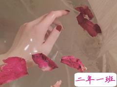 致自己的说说伤感句子短语：喝一杯清茶，再爱也不碰烈酒