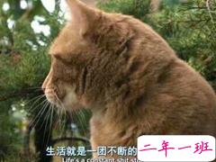 伤感说说2018心累了:遗憾吗,我们就这样莫名其妙的谁也不喜欢谁了