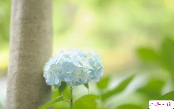 你是我义无反顾撞过的南墙，是黄梁的空欢喜一场2