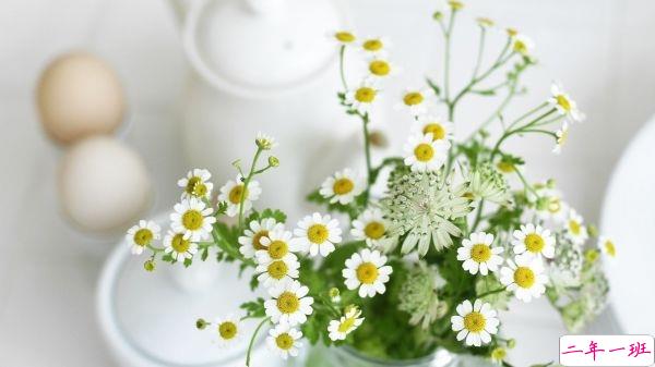 你是我义无反顾撞过的南墙，是黄梁的空欢喜一场3