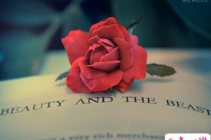 关于放手的说说，对一个人放手的说说