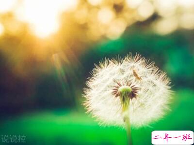 关于悲伤的说说，悲伤的句子说说心情