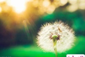 关于悲伤的说说,悲伤的句子说说心情