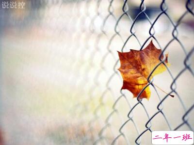 心情不好的伤感说说，心情不好的伤感句子