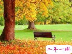 伤感说说大全：我会做到不打扰，不然怎对得起你的刻意躲藏