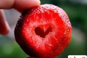 空间伤感短说说:你吻我是因为你寂寞,我不反抗是因为我爱你