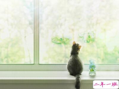 扣扣伤感说说大全