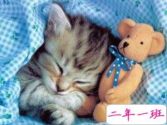 关于单身的伤感说说，QQ单身说说大全