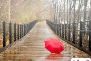 最伤心的说说：在你之前我不懂分离，在你之后我看清人心