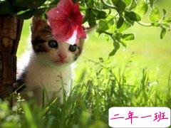 自作多情的说说：我不敢说和谁关系很好，我怕是我一个人自作多情