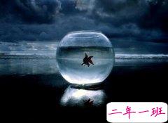 网络伤感说说：别说鱼没有眼泪，就算流成整个大海你也毫不知情