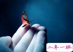 一个人的伤感说说:以前是喜欢一个人,现在是喜欢一个人