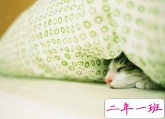 感伤的QQ说说：后来，我爱上的每一个人都像你