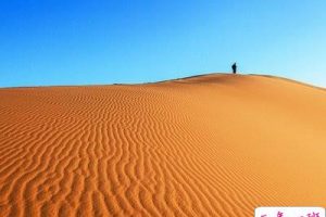 伤人的说说：有的人就算你为他化成灰，他也会把你吹得远远的