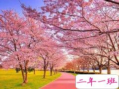 伤感想哭说说：不想看你不开心，却又嫉妒你和别人太开心