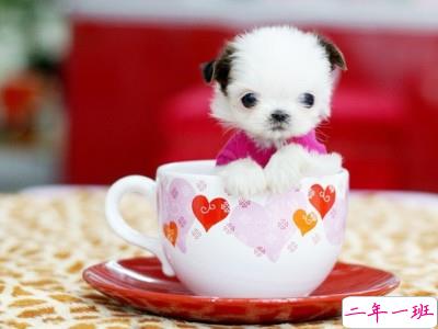 伤感文字控说说图片6