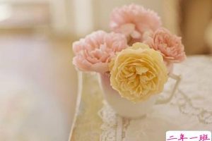 感伤的个性说说:用一个转身离开,却用了一辈子去忘记