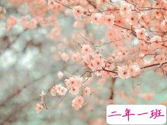 伤感说说带图片：孤独，是一场无人递粥的重感冒