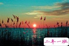 美到心痛的句子：终究要亲自受伤，才会学着聪明