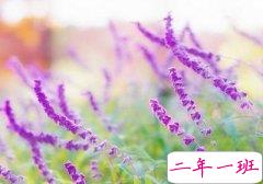 QQ空间说说伤感的：原来，没有哪个人，能够成为你的永远