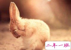 2013伤感心情短语：不要接近我熟悉我心疼我然后离开我