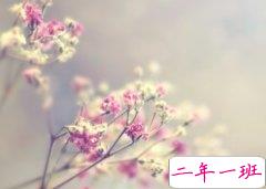 痛心的句子：有多少人喜欢听“你闹够了没有”