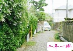 心碎的心情短语：原来，世界上最痛的痛是离开