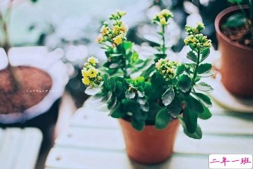 很励志的关于成长青春和梦想的感悟人生的说说带图片15