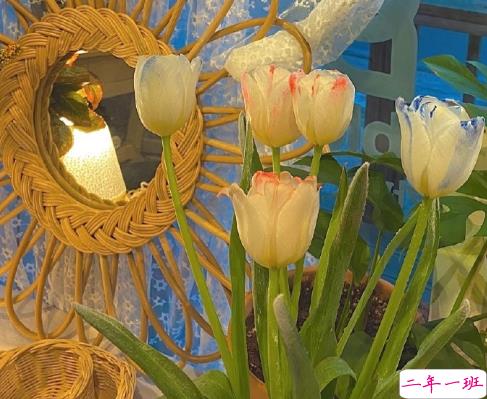 干净又温柔的朋友圈文案 令人心动的文案句子2