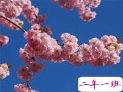 2021春天赏花的心情说说 春日赏花拍照的唯美句子