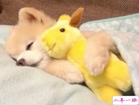 轻松又美好的关于生活的朋友去圈文案 细腻的美好藏在生活各处1