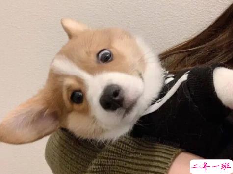 轻松又美好的关于生活的朋友去圈文案 细腻的美好藏在生活各处2