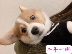 轻松又美好的关于生活的朋友去圈文案 细腻的美好藏在生活各处