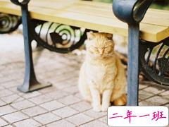 关于爱情的唯美句子情感真挚 甜甜蜜蜜的唯美句子