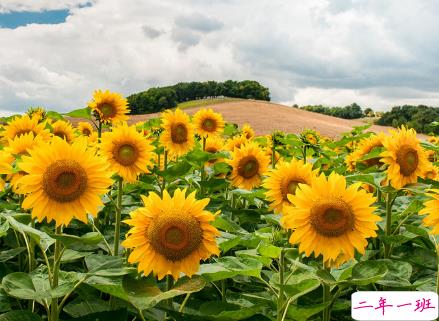 超走心的治愈系唯美句子 送给感情中需要疗伤的人1