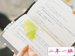 文字控喜欢的唯美小清新句子大全 2018超唯美的唯美文艺句子