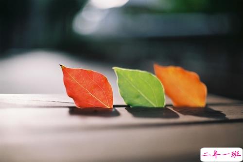 唯美又文艺的句子可以写到作文里 很唯美的作文素材一句话经典句子1