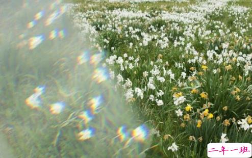 16条适合发朋友圈的旅行句子配图 旅行句子表达心情短语最新版5