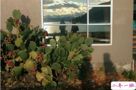 16条适合发朋友圈的旅行句子配图 旅行句子表达心情短语最新版11