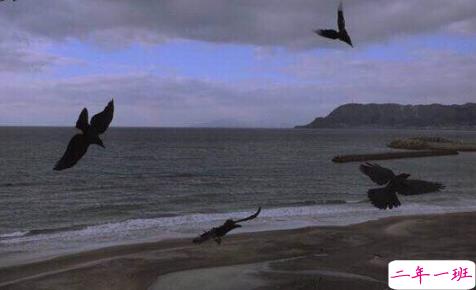 16条适合发朋友圈的旅行句子配图 旅行句子表达心情短语最新版15