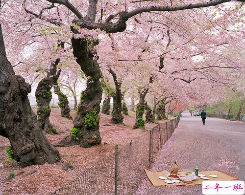 一瞬间能击中你的唯美句子  倾我一生一世换取岁月静好1