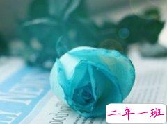 最悲伤的一句话：我一直都在你身后，就差你一个回头