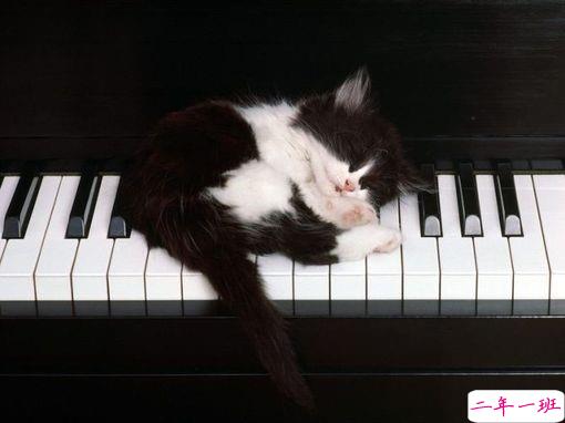 触动你内心深处的30个唯美的句子精选1