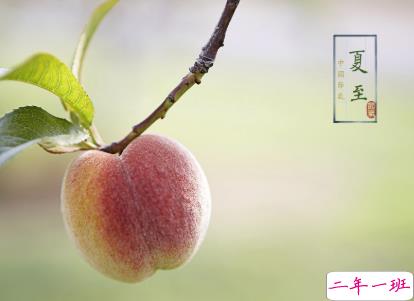 2020夏至怎么发说说 夏至一句话说说简单好听2